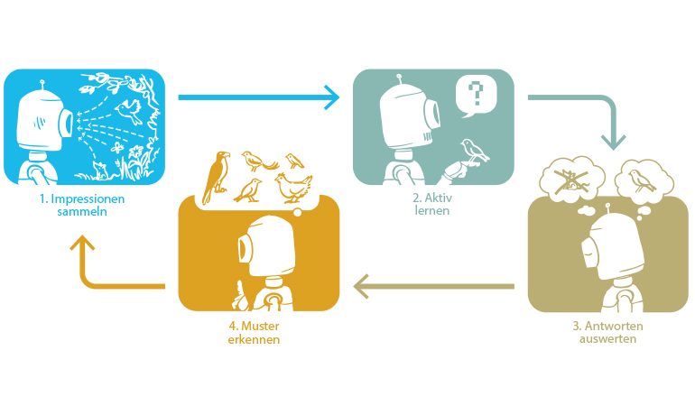 Der Kreislauf des Lernens eines Roboters